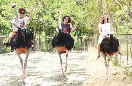 Monkey Island in Nhatrang