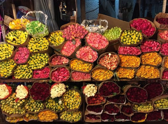 tours in Ho Chi Minh